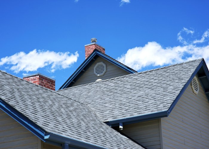 history of roofing styles